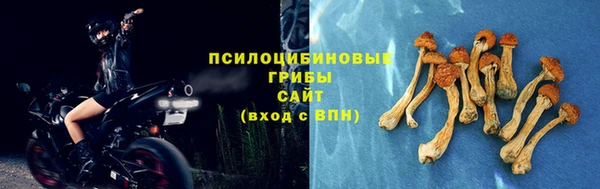сатива Медвежьегорск