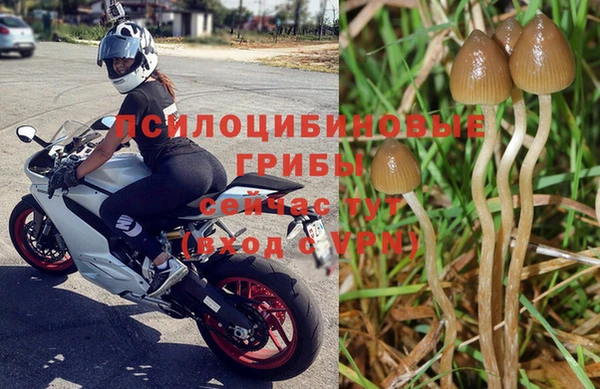 мяу мяу мука Алзамай