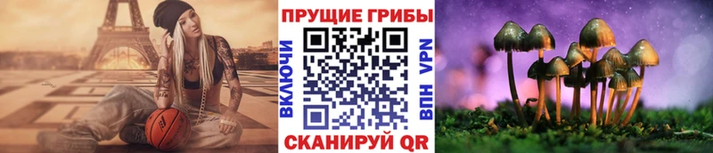 Галлюциногенные грибы ЛСД  Первомайск 